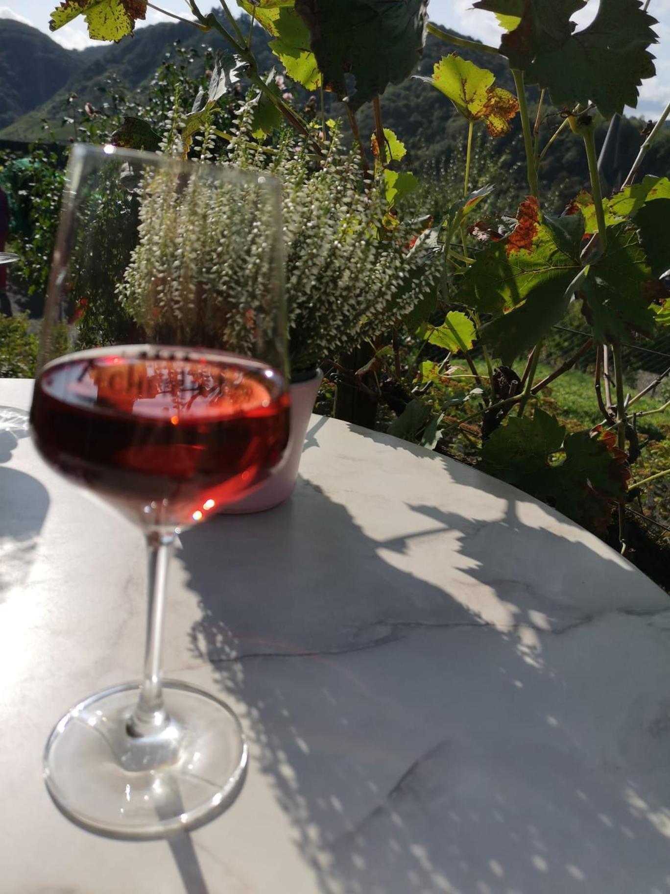 Gaestehaus Eulenkoepfchen Neef Zewnętrze zdjęcie